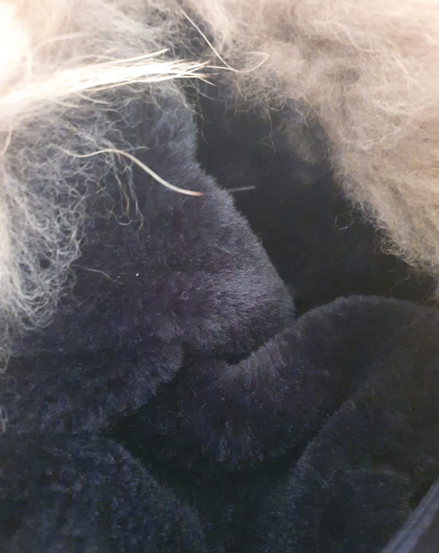 Parka Maje "GOBY"- Bleu Marine- Fourrure & Cuir- Taille 36